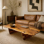 Large Mid Century Waney Edge Yew Coffee Table 2908e