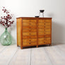 vintage_apothecary_drawers_school_chest_iroko