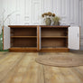 vintage_esavian_school_cupboard_storage_mid_century