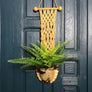Vintage Boho Ceramic & Macrame Hanging Planter