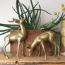 *LARGE* Mid Century Brass Pair of Deer