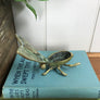 Vintage Brass Fly Insect Trinket Vesta Box