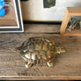 Vintage Brass Tortoise Trinket Box
