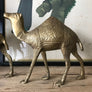 Pair of Mid Century Brass Camels