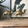 Pair of Mid Century Brass Camels