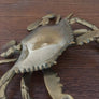 Mid Century Brass Crab Trinket Box / Ornament
