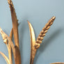 hollywood_regency_vintage_gold_wheat_sheaf_sconces