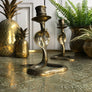 Mid Century Brass Cobra Candlesticks (pair)