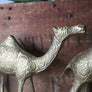 Pair of Mid Century Brass Camels
