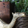 Pair of Mid Century Brass Camels