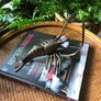 Mid Century Brass Lobster ornament or wall art
