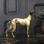 Mid Century Brass Greyhound #C1