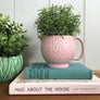 Powder Pink Ceramic Jug / Vase