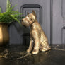 Mid Century Brass 'Scottie' Dog