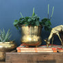 Vintage Brass Planter