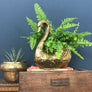 LARGE Vintage Brass Swan Planter