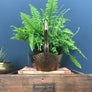 Vintage Brass Swan Planter