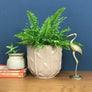 Vintage 'Bamboo' West German Ceramic Planter