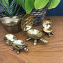 3 x Vintage Brass Tortoise Trinket Boxes