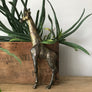 Vintage Mid Century Brass Giraffe (2 available)