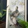 Vintage 1960s Ducks Framed Picture