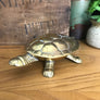 Vintage Brass Tortoise Trinket Box