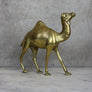 Mid Century Brass Camel - 05C