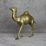 Mid Century Brass Camel - 05C