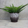 Brown & White Mid Century Ceramic Planter