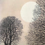 1960s Framed 'Trees' Picture