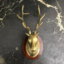 Mounted Brass Deer Head