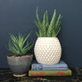 Vintage 'Pineapple' Ceramic Pot/Vase/Planter