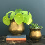*Large* Vintage Brass Planter