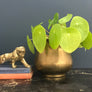*Large* Vintage Brass Planter