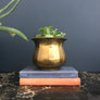 *Small* Vintage Brass Planter