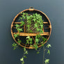 Boho Rattan Wall Planter with Shelf