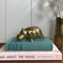 Vintage Brass Hippo
