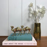 Petite Pair of Vintage Brass Camels