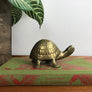 Vintage Brass Tortoise - Medium