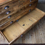 Vintage Rustic Architects Plan Chest - 1111f