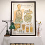 Vintage Framed Elementary Physiology Anatomical Chart 'No.5 Organs'