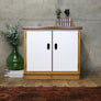 vintage_mid_century_esavian_school_cupboard_james_leonard_cabinet