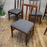 X6 Mid Century Younger Dining Chairs - 1709a
