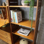 vintage_teak_mid_century_ladderax_staples_shelving