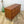mid_century_meredew_walnut_low_chest_of_drawers_sideboard