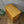 mid_century_stag_c_range_oak_vintage_tall_chest_of_drawers