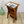 mid_century_teak_church_lectern_restaurant_display_1960s
