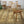 mid_century_vintage_ercol_391_dining_chairs