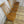 vintage_ercol_goldsmith_dining_chairs