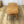 vintage_ercol_mid_century_coffee_table